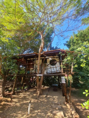 Ecocentro Brasil - Espaço Ecológico